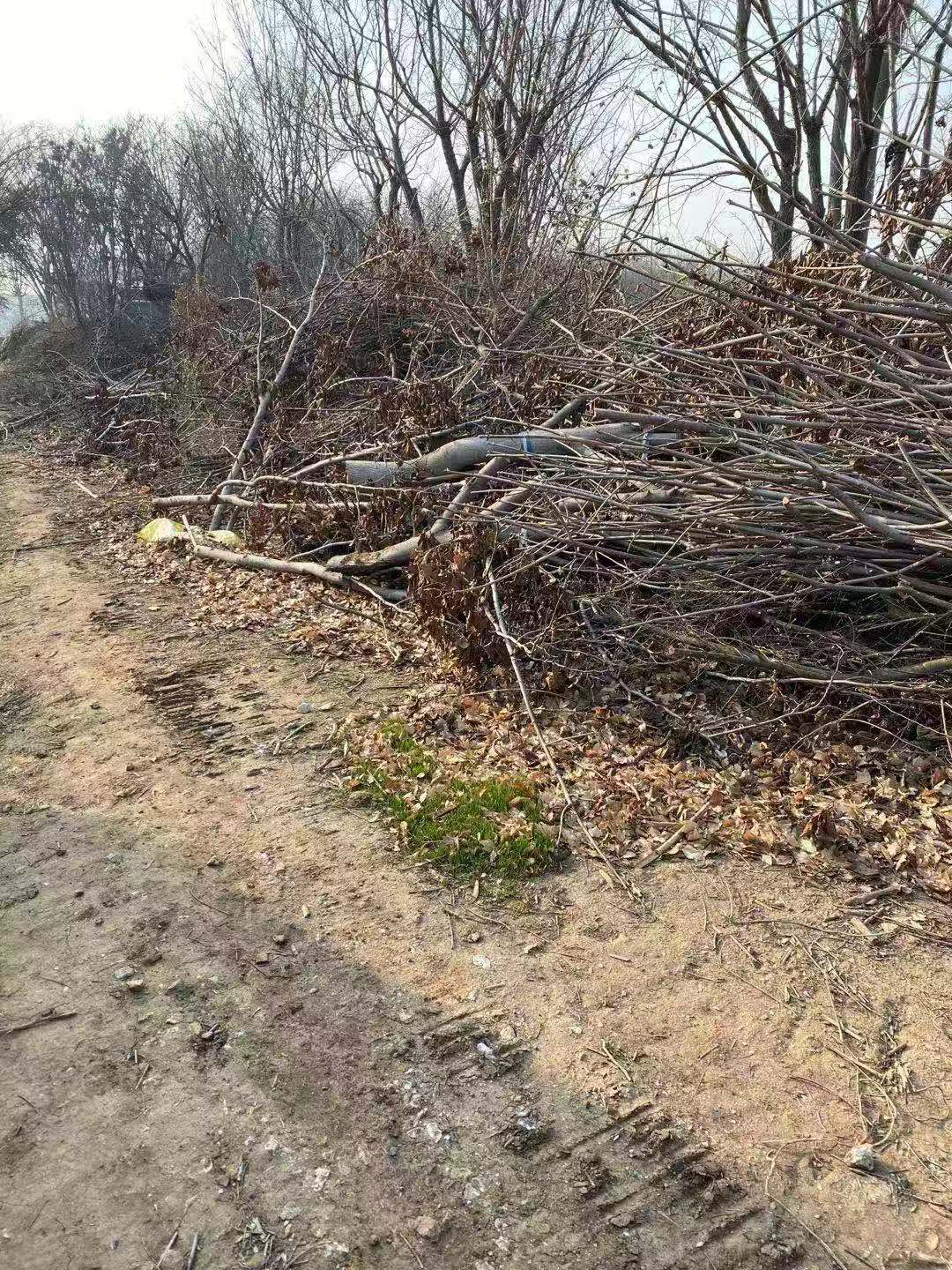 456789