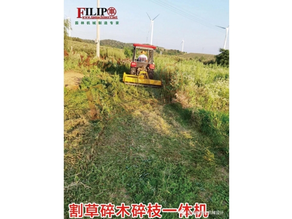 <img src=upfile/images/2021/06/24/small3_16245153568388136.jpg height=150>