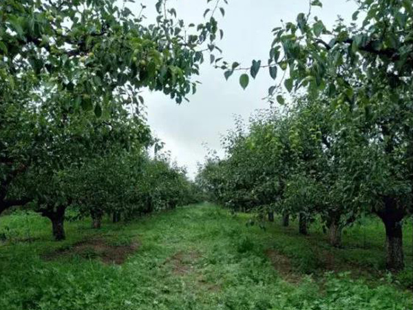 微信圖片_20210823153359